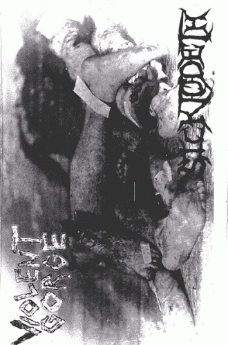 Violent Gorge : Violent Gorge - SickToDeth